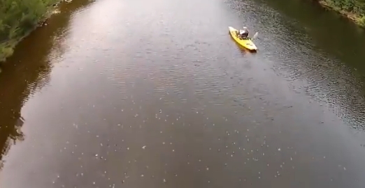 VIDEO: Bass Shoalhaven